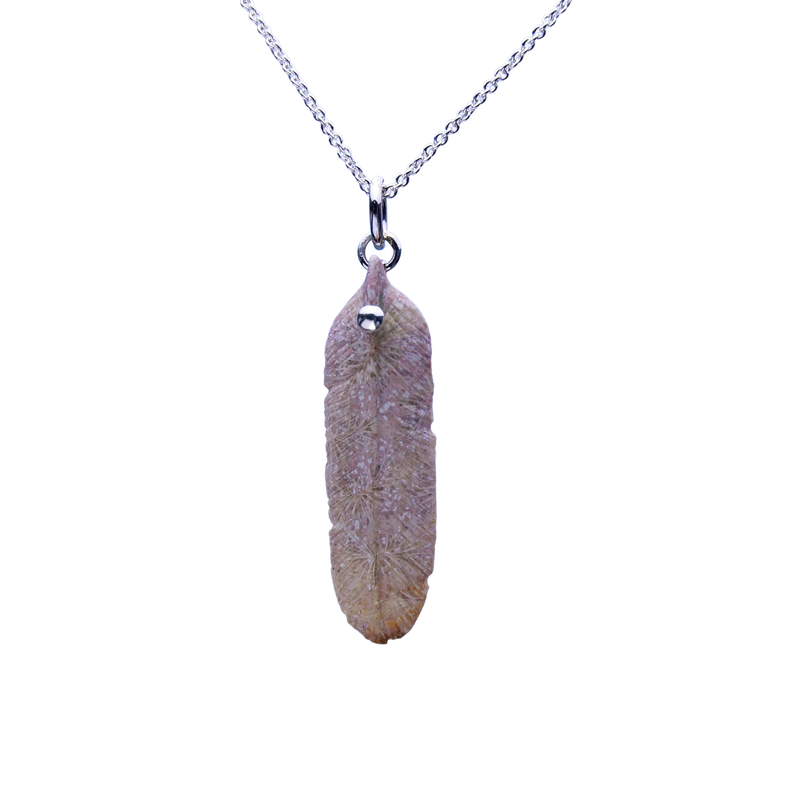 Fossil Coral Carved Feather Pendant
